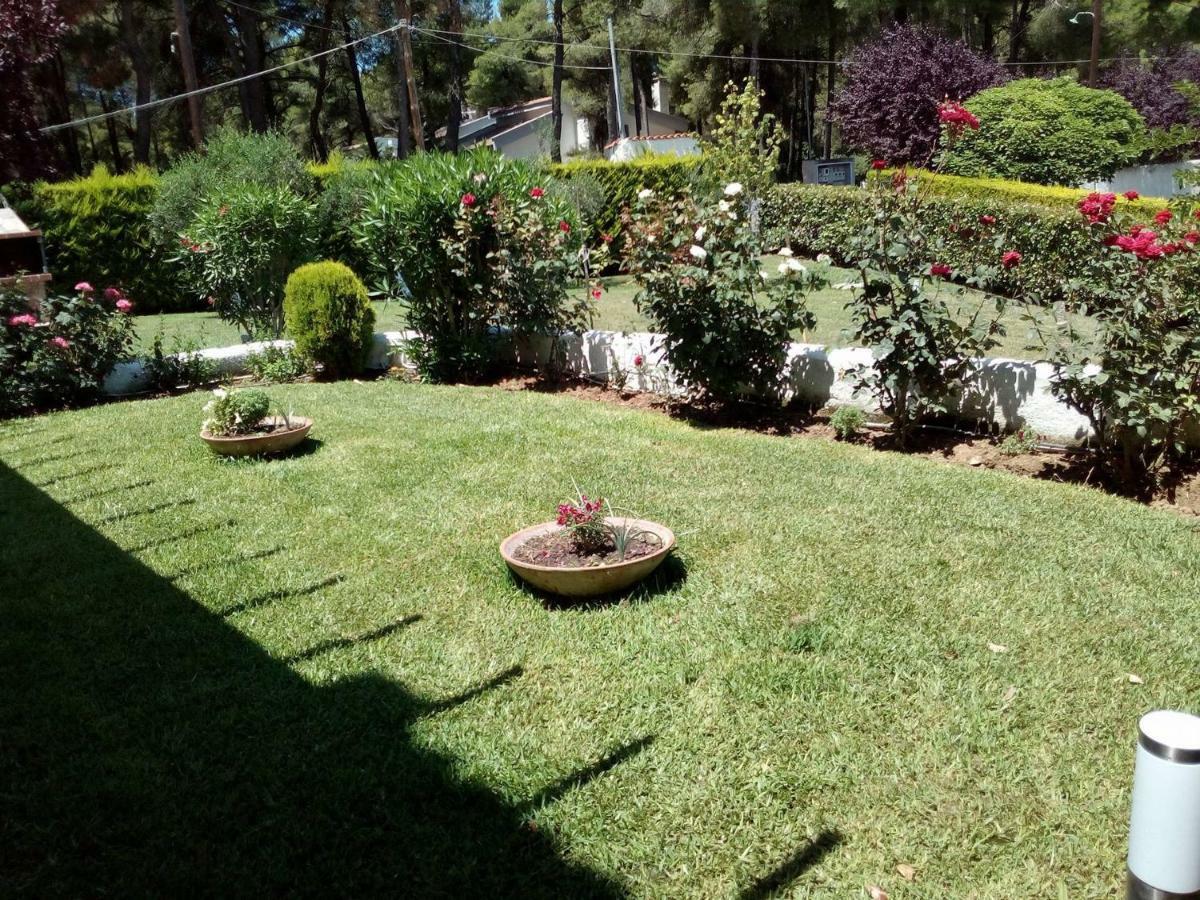 Sani Residence Villa المظهر الخارجي الصورة